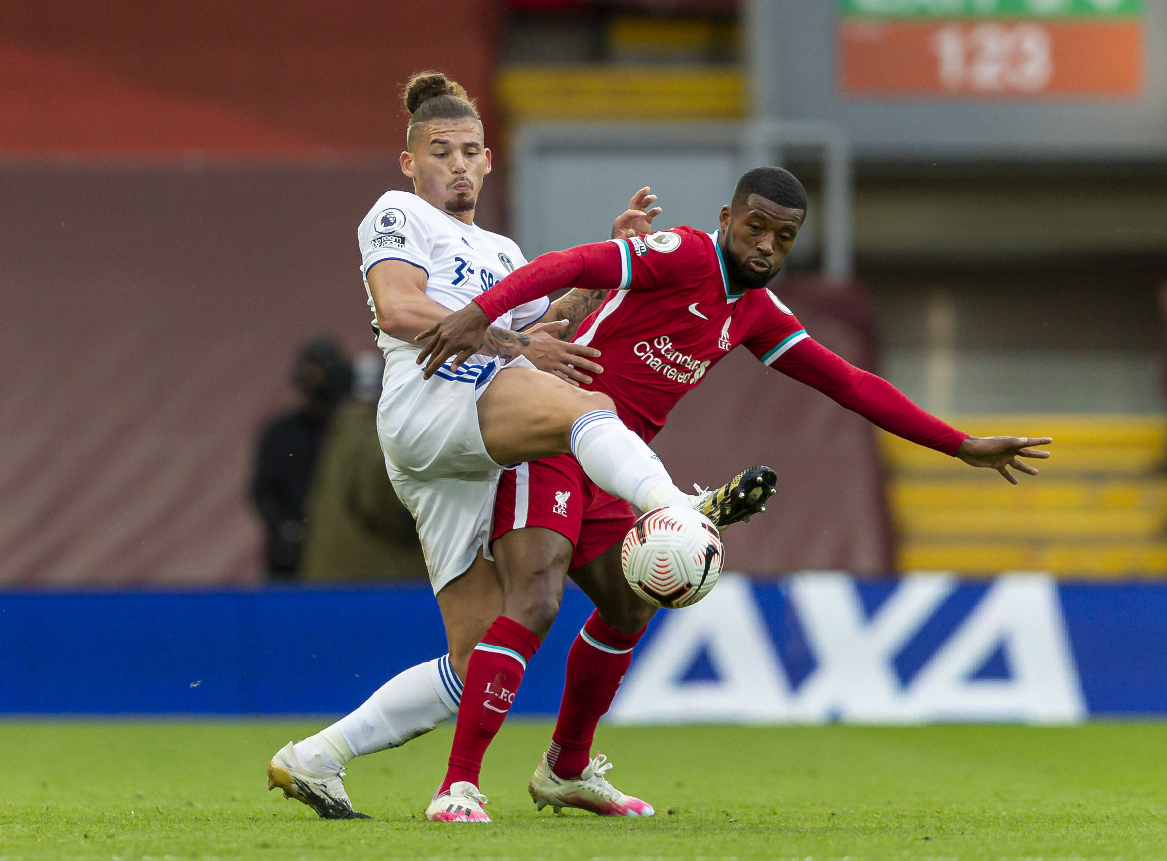 職業生涯的 職業生涯的