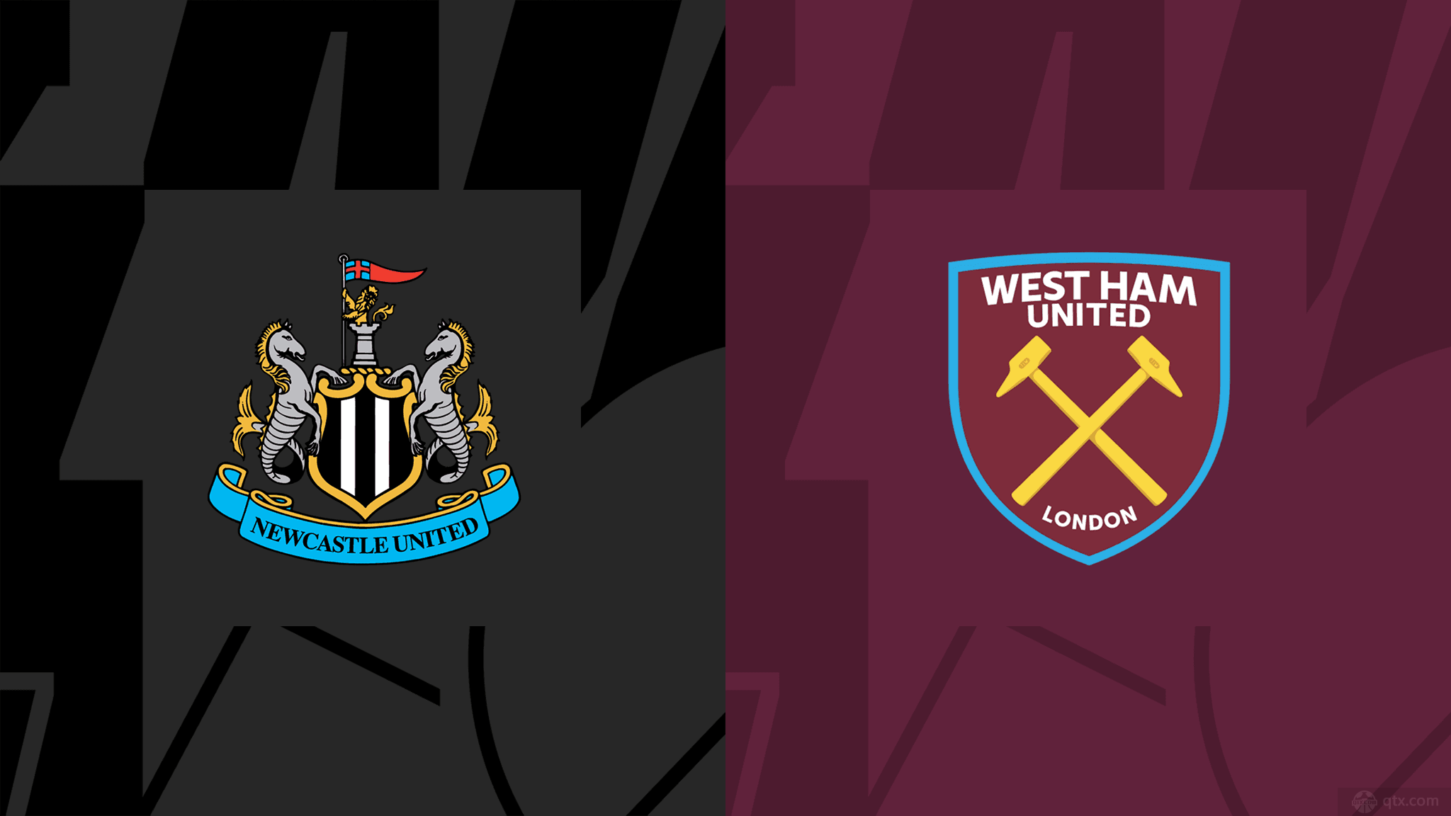 這次冠軍的 這次冠軍的